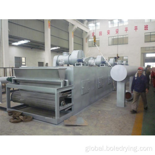 Fruit Drying Machine Fruit continuous drying machine mesh belt dryer Factory